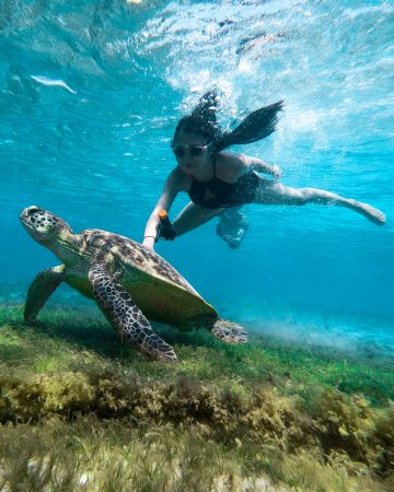 LOMBOK SCUBA DIVE